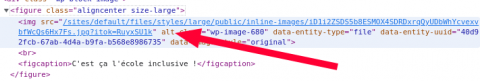 Copie d'écran du code html montrant la balise alt vide