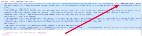 Copie d'écran montrant le code HTML de l'image ayant une alternative textuelle